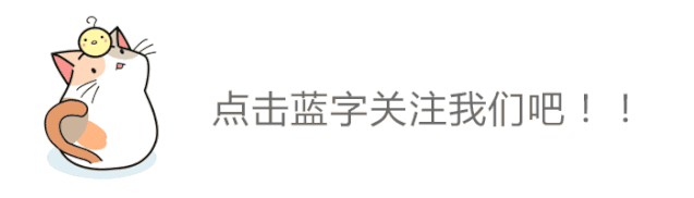 阅读原文 小猫 动图