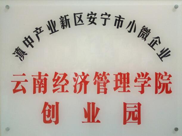 云南经济管理学院福戈咖啡项目荣获“众创空间优秀孵化案例” 第 10 张