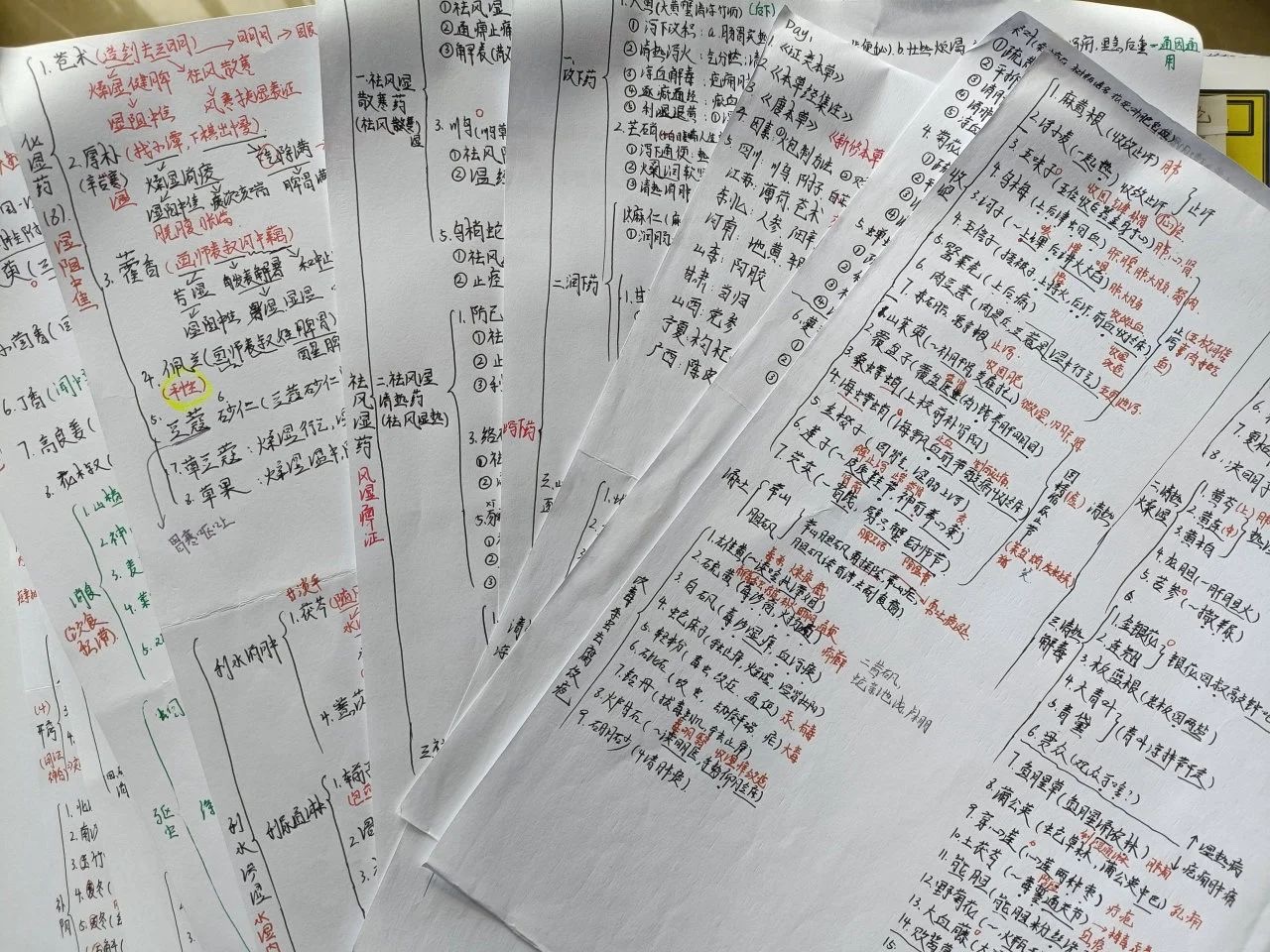 “偏要考上！”她做到了‼️ 第 12 张