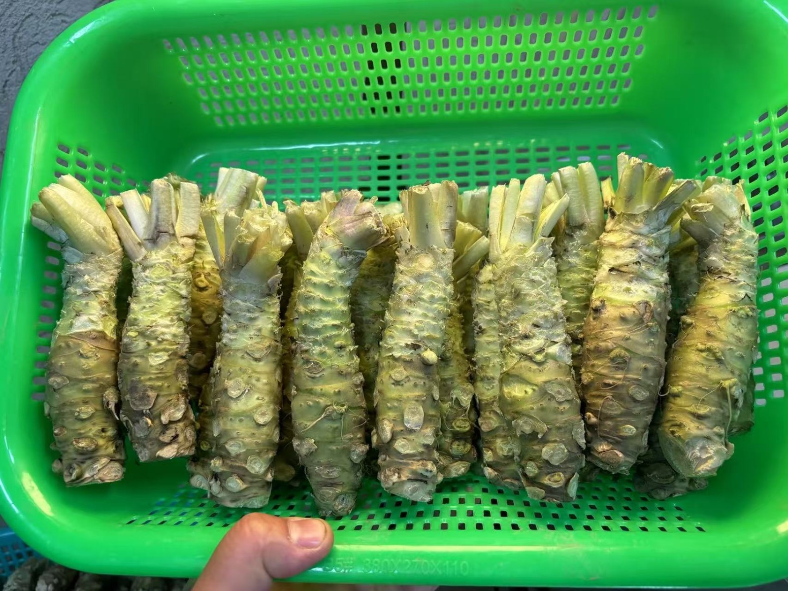 太上头了🤤,这个蘸料经管人研发的! 第 15 张 太上头了🤤,这个蘸料经管人研发的! 第 15 张