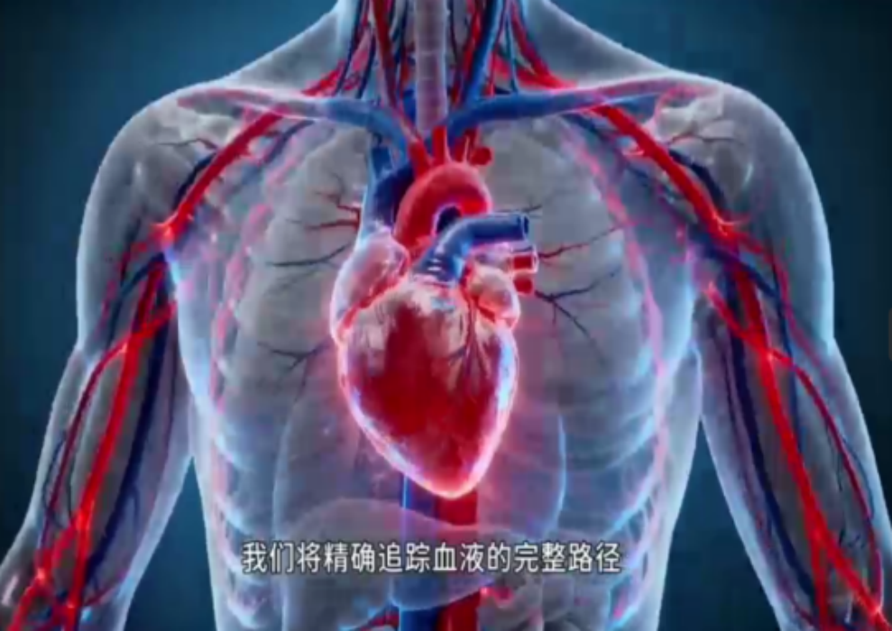 专业竞技|基础医学教研室成功开展《人体解剖生理学》人工智能创意设计初赛 第 4 张