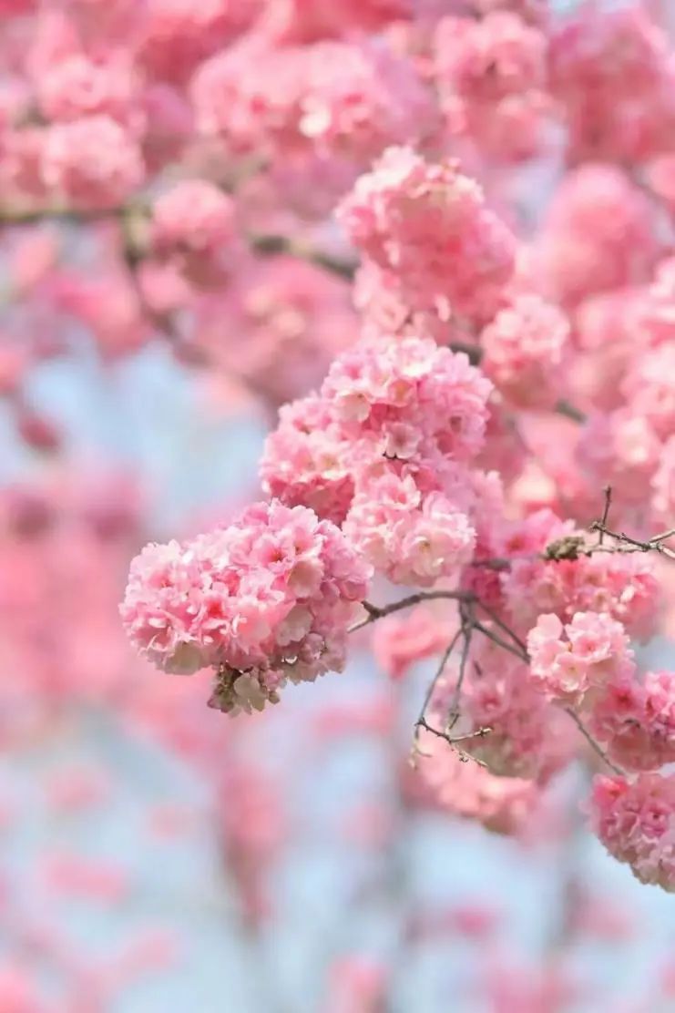 5e4a5bf9b5c6360db0deea719c3249ad.jpg 5e4a5bf9b5c6360db0deea719c3249ad.jpg