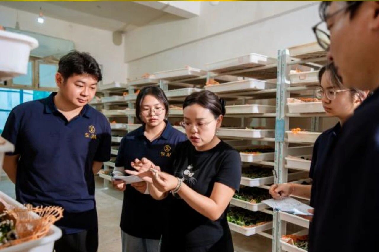 12.jpg 挑战杯省级一等奖双创团队奔赴云南省农科院蚕桑一线研学 第 1 张